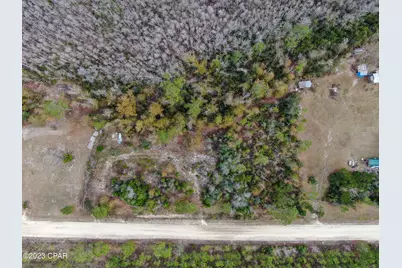 706 Dead Lakes Drive, Wewahitchka, FL 32465 - Photo 7