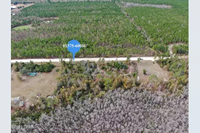 706 Dead Lakes Drive, Wewahitchka, FL 32465 - Photo 3