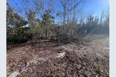 1229 S Katherine Avenue, Panama City, FL 32404 - Photo 3