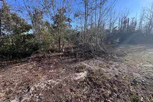 1229 S Katherine Ave, Panama City, FL 32404 - Photo 3