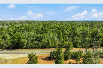 000 Blue Springs Road, Youngstown, FL 32466 - Photo 3