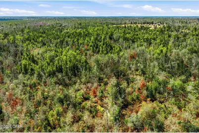 000 Blue Springs Road, Youngstown, FL 32466 - Photo 5