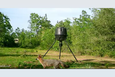 00 Elkcam Boulevard, Southport, FL 32409 - Photo 11