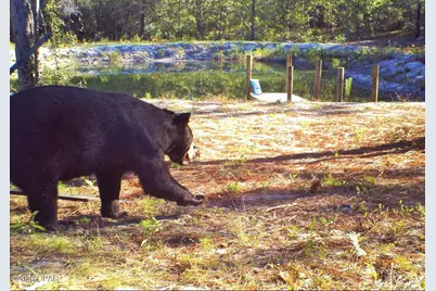 00 Elkcam Boulevard, Southport, FL 32409 - Photo 5