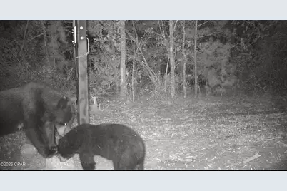 00 Elkcam Boulevard, Southport, FL 32409 - Photo 11