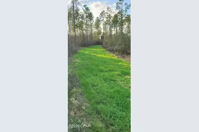 00 Elkcam Boulevard, Southport, FL 32409 - Photo 3