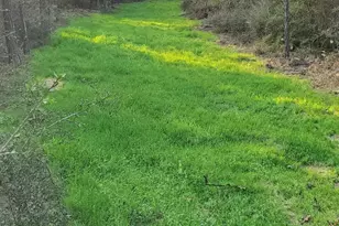 00 Elkcam Blvd, Southport, FL 32409 - Photo 1