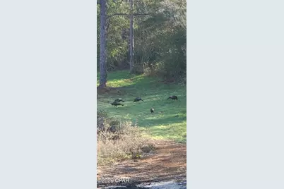 00 Elkcam Boulevard, Southport, FL 32409 - Photo 3