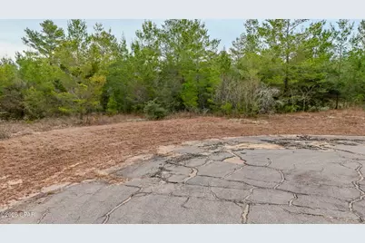 0000 Tassel Court, Chipley, FL 32428 - Photo 5