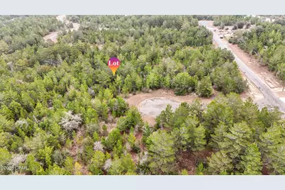 0000 Tassel Court, Chipley, FL 32428 - Photo 9