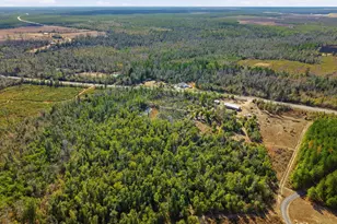 17051 NW County Road 287, Clarksville, FL 32430 - Photo 3