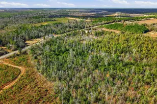 17051 NW County Road 287, Clarksville, FL 32430 - Photo 7