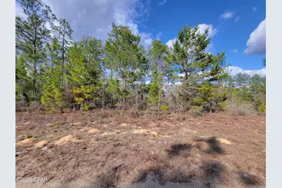 Tbd Windbrook Street, Chipley, FL 32428 - Photo 3