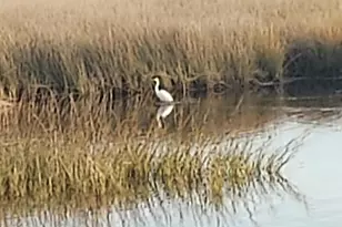 6511 Golden Aster Trail, Panama City Beach, FL 32413 - Photo 77