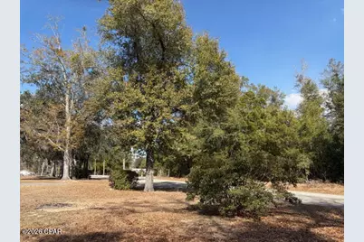 24798 NW County Road 73A, Altha, FL 32421 - Photo 11