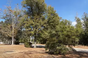 24798 NW County Road 73A, Altha, FL 32421 - Photo 11