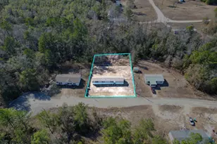 18521 NE Blueberry Trail, Hosford, FL 32334 - Photo 5