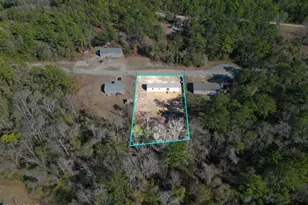 18521 NE Blueberry Trail, Hosford, FL 32334 - Photo 25