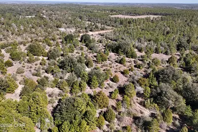 0 Nortek Boulevard, Alford, FL 32420 - Photo 5