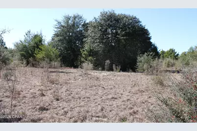 0 Nortek Boulevard, Alford, FL 32420 - Photo 9