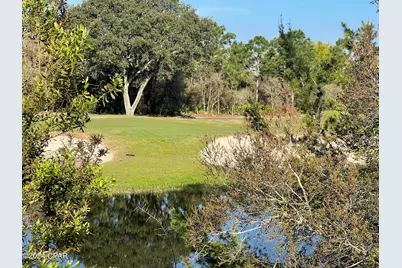 131 Laughing Gull Lane, Carrabelle, FL 32322 - Photo 7