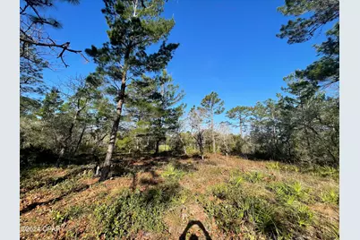 131 Laughing Gull Lane, Carrabelle, FL 32322 - Photo 11