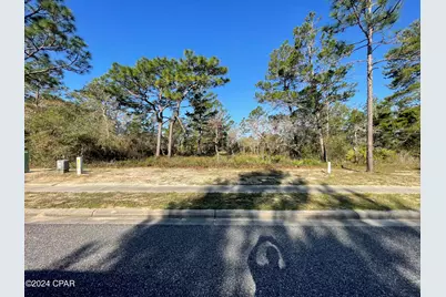 131 Laughing Gull Lane, Carrabelle, FL 32322 - Photo 3