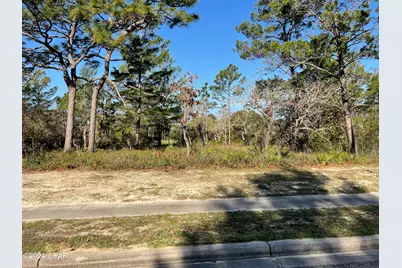 131 Laughing Gull Lane, Carrabelle, FL 32322 - Photo 1