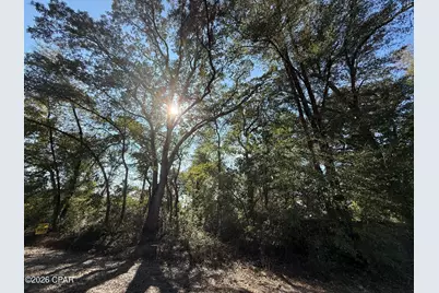 0001 Appalachee Trail, Marianna, FL 32446 - Photo 1