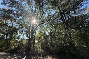 0001 Appalachee Trail, Marianna, FL 32446 - Photo 1