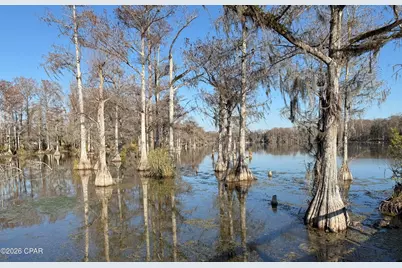 0001 Appalachee Trail, Marianna, FL 32446 - Photo 11