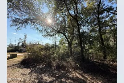 0001 Appalachee Trail, Marianna, FL 32446 - Photo 3