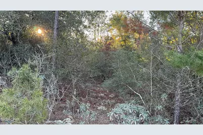 [Address not provided], Chipley, FL 32428 - Photo 1