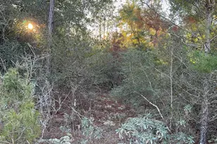 [Address not provided], Chipley, FL 32428 - Photo 1