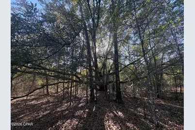 Lot 55 Owl Court, Marianna, FL 32448 - Photo 1