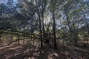 Lot 55 Owl Ct, Marianna, FL 32448 - Photo 1