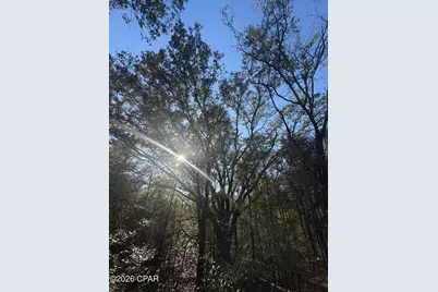 Lot 55 Owl Court, Marianna, FL 32448 - Photo 3