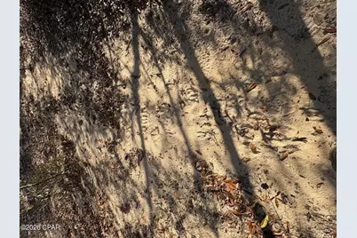 Lot 55 Owl Court, Marianna, FL 32448 - Photo 9