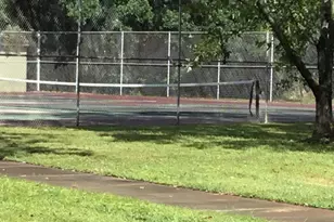 1025 W 19th 16C St, Panama City, FL 32405 - Photo 41