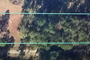 2875 Parrish Still Rd, Vernon, FL 32462 - Photo 1