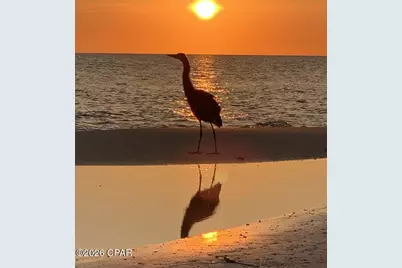 8865 W Highway 98, Port Saint Joe, FL 32456 - Photo 3