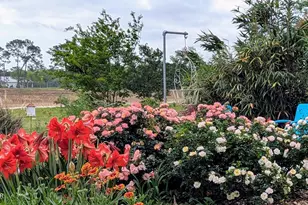 5223-A Palamino Ln, Greenwood, FL 32443 - Photo 45