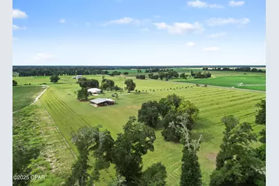 5223-A Palamino Lane, Greenwood, FL 32443 - Photo 9