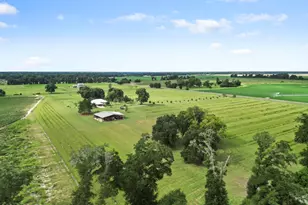 5223-A Palamino Ln, Greenwood, FL 32443 - Photo 9