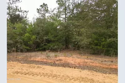 Lot 22 McPherson Drive, Alford, FL 32420 - Photo 13