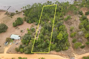 Lot 22 McPherson Dr, Alford, FL 32420 - Photo 1