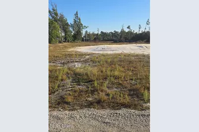 121 Yellowfin Drive, Port Saint Joe, FL 32456 - Photo 5