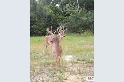 00 Sylvania Plantation Road, Greenwood, FL 32443 - Photo 7