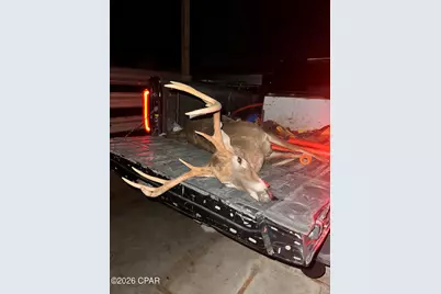 00 Sylvania Plantation Road, Greenwood, FL 32443 - Photo 9