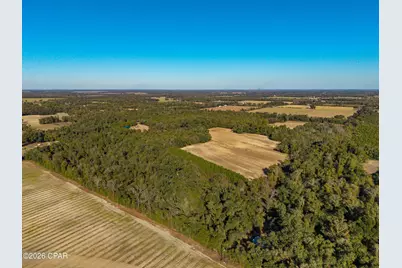 00 Sylvania Plantation Road, Greenwood, FL 32443 - Photo 31